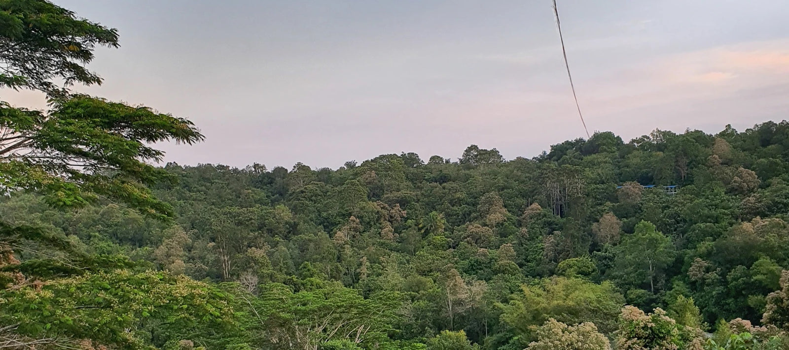 1 klikk for klimaet - Beskytt regnskogen med oss